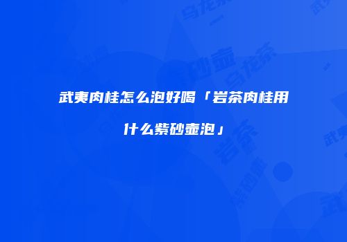 武夷肉桂怎么泡好喝「岩茶肉桂用什么紫砂壶泡」