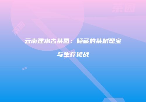 云南建水古茶园：隐藏的茶树瑰宝与生存挑战