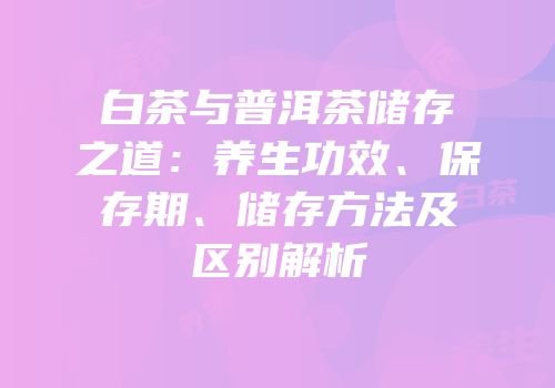 白茶与普洱茶储存之道：养生功效、保存期、储存方法及区别解析