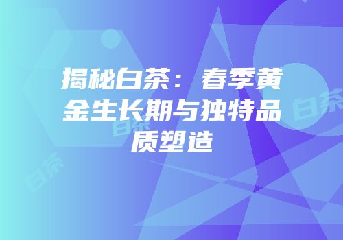 揭秘白茶：春季黄金生长期与独特品质塑造