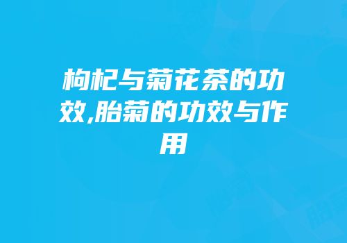 枸杞与菊花茶的功效,胎菊的功效与作用