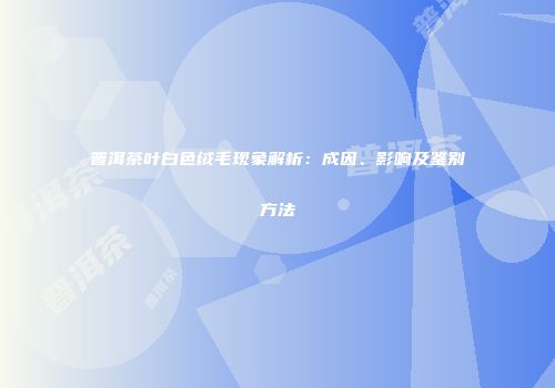 普洱茶叶白色绒毛现象解析：成因、影响及鉴别方法