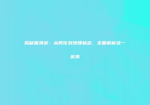 揭秘普洱茶：从醇化到地理标志，全面解析这一茶类