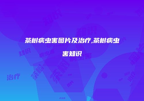 茶树病虫害图片及治疗,茶树病虫害知识
