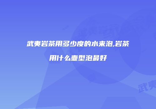 武夷岩茶用多少度的水来泡,岩茶用什么壶型泡最好
