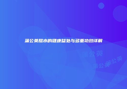 蒲公英熬水的健康益处与多重功效详解
