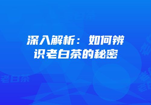 深入解析：如何辨识老白茶的秘密