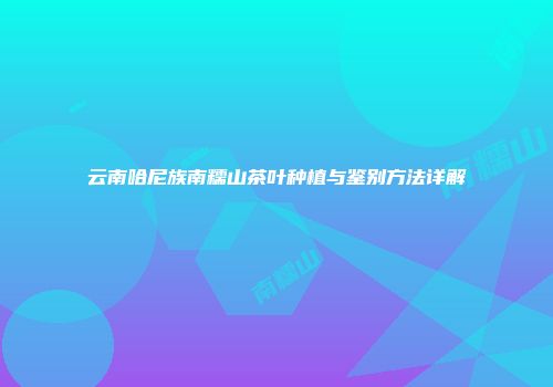 云南哈尼族南糯山茶叶种植与鉴别方法详解