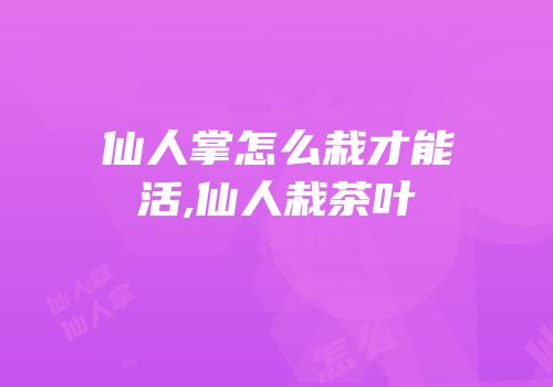 仙人掌怎么栽才能活,仙人栽茶叶