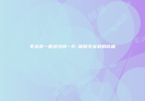 毛尖茶一般多少钱一斤-信阳毛尖茶的价格