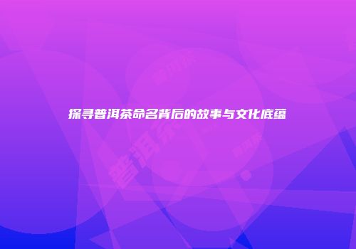 探寻普洱茶命名背后的故事与文化底蕴