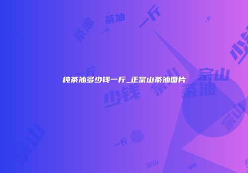 纯茶油多少钱一斤_正宗山茶油图片