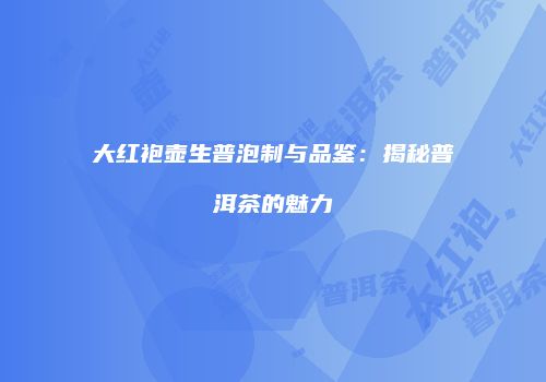 大红袍壶生普泡制与品鉴：揭秘普洱茶的魅力