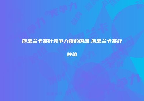 斯里兰卡茶叶竞争力强的原因,斯里兰卡茶叶种植
