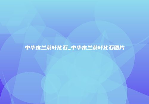 中华木兰茶叶化石_中华木兰茶叶化石图片