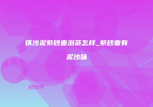 铁沙泥紫砂壶泡茶怎样_紫砂壶有泥沙味