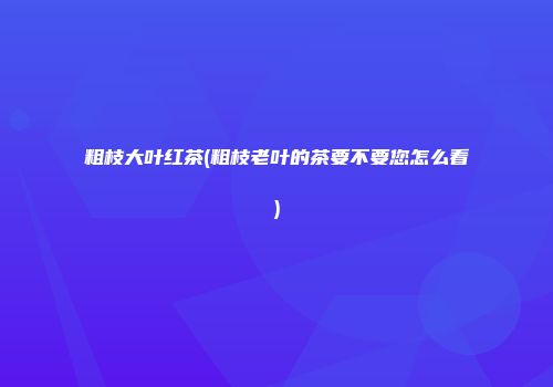 粗枝大叶红茶(粗枝老叶的茶要不要您怎么看)