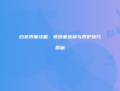白茶养壶攻略：紫砂壶选择与养护技巧揭秘