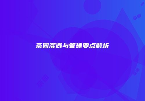 茶园灌溉与管理要点解析