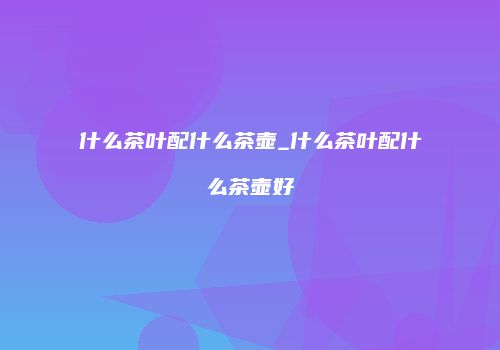 什么茶叶配什么茶壶_什么茶叶配什么茶壶好