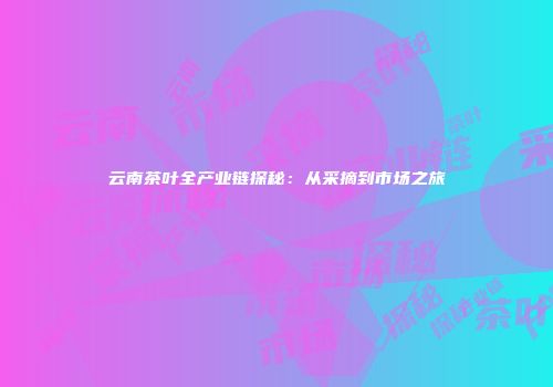 云南茶叶全产业链探秘：从采摘到市场之旅