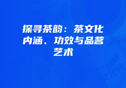 探寻茶韵：茶文化内涵、功效与品茗艺术