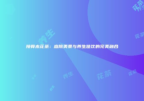 接骨木花茶：庭院美景与养生佳饮的完美融合