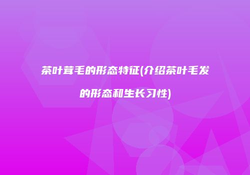 茶叶茸毛的形态特征(介绍茶叶毛发的形态和生长习性)