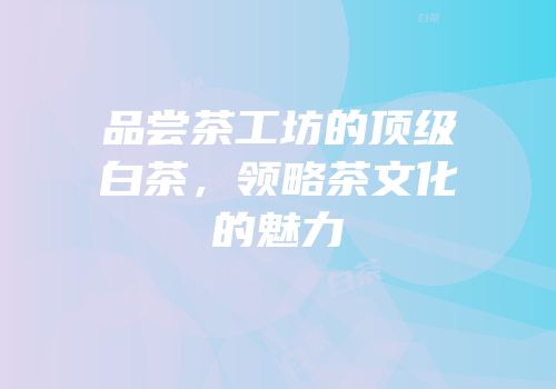 品尝茶工坊的顶级白茶，领略茶文化的魅力