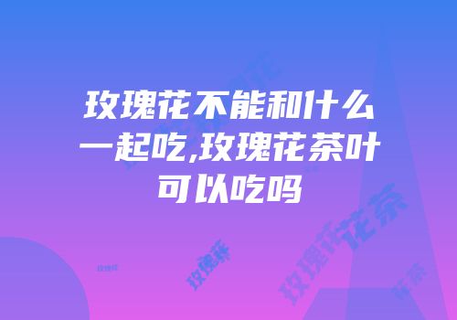 玫瑰花不能和什么一起吃,玫瑰花茶叶可以吃吗