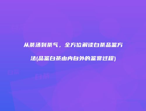 从茶汤到茶气，全方位解读白茶品鉴方法(品鉴白茶由内自外的鉴赏过程)