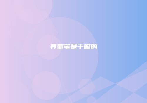 养壶笔是干嘛的