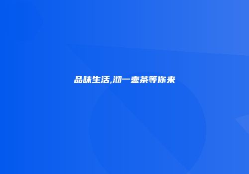 品味生活,沏一壶茶等你来