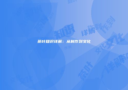茶叶知识详解：从制作到文化
