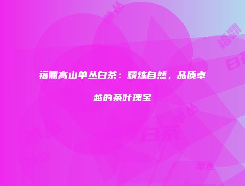福鼎高山单丛白茶：精炼自然，品质卓越的茶叶瑰宝