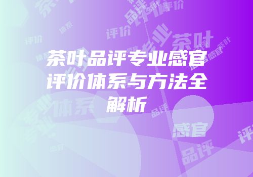 茶叶品评专业感官评价体系与方法全解析