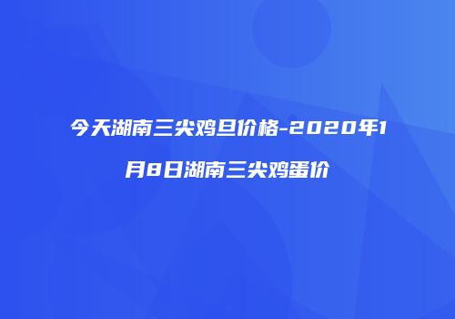今天湖南三尖鸡旦价格-2020年1月8日湖南三尖鸡蛋价