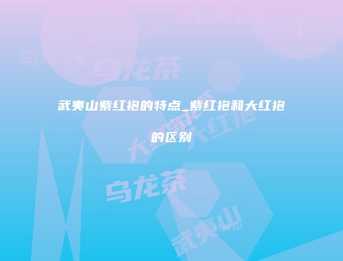 武夷山紫红袍的特点_紫红袍和大红袍的区别