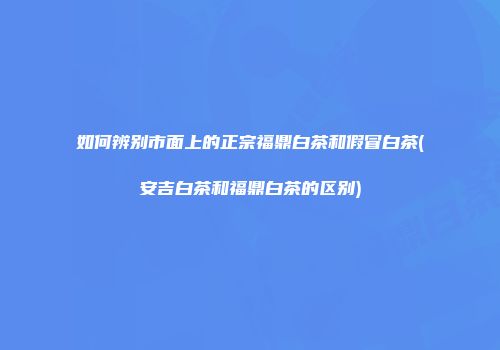 如何辨别市面上的正宗福鼎白茶和假冒白茶(安吉白茶和福鼎白茶的区别)