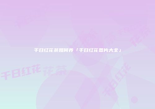 千日红花茶如何养「千日红花图片大全」