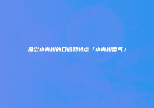 品尝小青柑的口感和特点「小青柑香气」