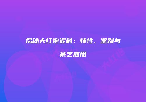揭秘大红袍泥料：特性、鉴别与茶艺应用