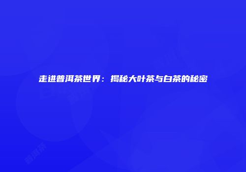 走进普洱茶世界：揭秘大叶茶与白茶的秘密