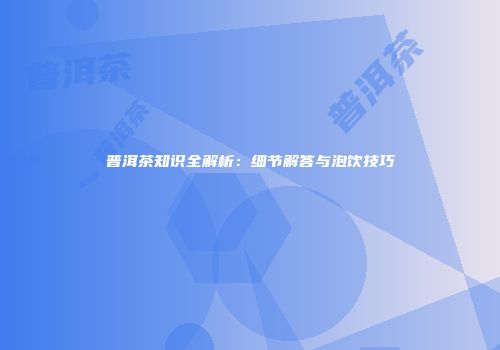 普洱茶知识全解析：细节解答与泡饮技巧