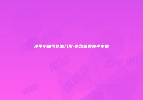 漳平水仙可以泡几次-铁观音和漳平水仙