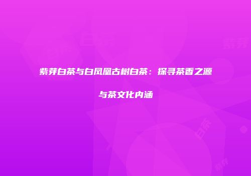 紫芽白茶与白凤凰古树白茶：探寻茶香之源与茶文化内涵