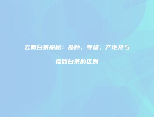 云南白茶探秘：品种、等级、产地及与福鼎白茶的区别