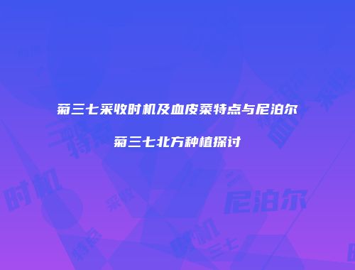 菊三七采收时机及血皮菜特点与尼泊尔菊三七北方种植探讨