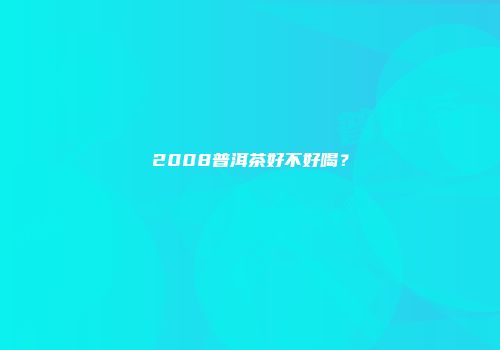 2008普洱茶好不好喝？