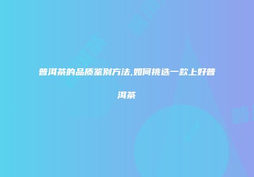 普洱茶的品质鉴别方法,如何挑选一款上好普洱茶